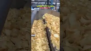 Inside a REAL Potato Chip Factory!#youtubeshorts #trending #streetfood #viralvideo #potatochips