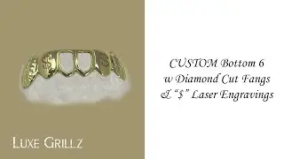 Bottom 6 Grillz w Open Faces, &ldquo;$&rdquo; Engraving, and Diamond Cut Fangs in 10K Yellow Gold | Luxe Grillz