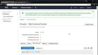 v1.0 - 230 ecs 6 scaling cluster