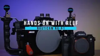 Hands on with Reef:  Nauticam A1