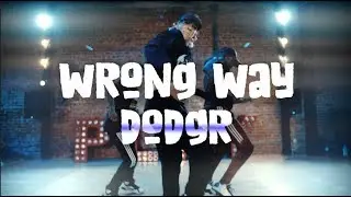 Dodgr - 