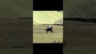 ШАРИФ ЧОВАНДОЗ