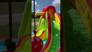 Monkeys running to their water park & playground #monkey #fun #play #water #waterpark #fyp