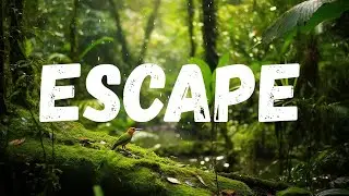 Rainforest Rain Sounds &bull; 3 Hours of Deep Jungle Ambience for Sleep [No Ads]