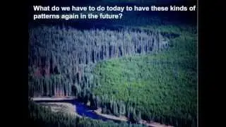 Dr. Rick Bonar: Riparian Digital Mapping Using Ecological Boundaries in West-central Alberta