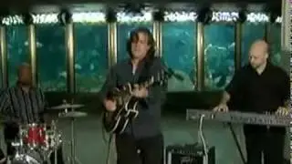 Tim Fitzgerald Trio - 