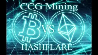 Hashflare vs CCG Mining which Is more profitable?