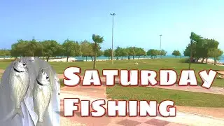 Saturday Fishing and Walk Tour at Corniche, Al Khobar, KSA #beachfishing #catchandcook #cat