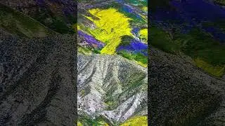 Кто разрисовал этот хребет в Калифорнии ? Who painted this ridge in California? #shortvideo #shorts