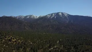 Dji Mavic At Forest Falls California Flying above trees