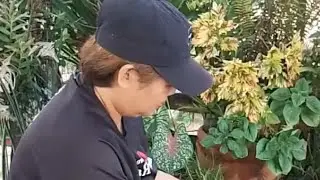 Let's plant vegetables seeds
