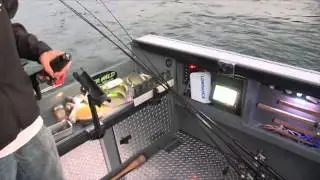 Angler West 189