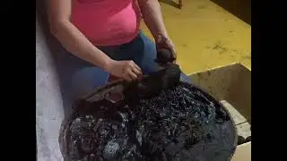 Proceso de la elaboración del jabón de tierra