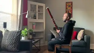 Bassoon Cover: Brahms Violin Concerto (Andante)