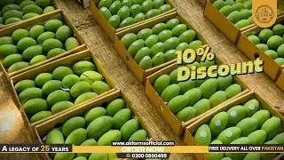 Craving Juicy, Sweet, and Export-Quality Mangoes? | Ak Farms Has Just Covered