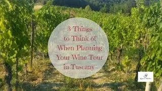 3 Things to Think of When Planning Your Wine Tour in Tuscany