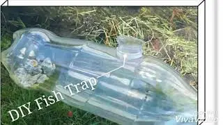 DIY Plastic bottle Fish trap without use any glue