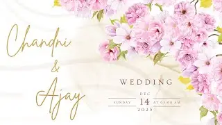 Chandni and Ajay || Wedding Ceremony