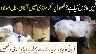 New Virus [Skin Disease]- Skin Remedy by Vet Doctor- [ CTV Pakistan ]