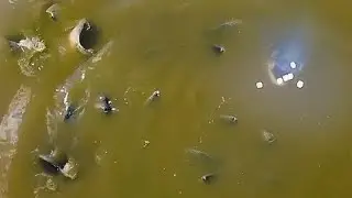 DO JEITO QUE VOC&Ecirc; NUNCA VIU - IMPRESSIONANTE!