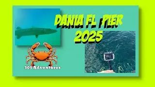 Dania Pier Fishing GoPro Akaso Brave 7 LE Drop. Action Camera Footage