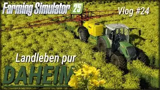 LS25 Daheim FarmVlog#24🚜 Rapsbl&uuml;te spritzen 🌻Fendt 312 Feldspritze & Bauholz f&uuml;rs neue Projekt