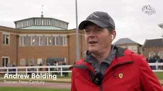 Breeders' Cup Contenders