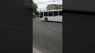 Caio Mondego H, bus escuela #CJRB40