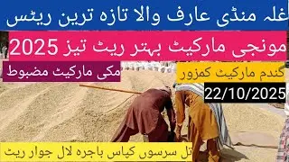 Munji ka rate today 2025| گندم کا ریٹ 2025| makki till Sarso| ghalla Mandi rate today 