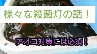 様々な殺菌灯の話！