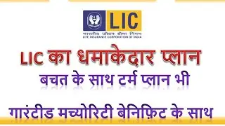 LIC term plan । protection plan । term plan । lic ।