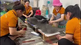 Human hair manufacturing - Vietnam human hair factory