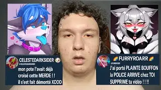 Les FURRIES m'ont HARCEL&Eacute; sur twitter. (DRAMA)