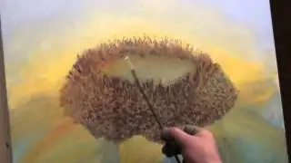 Подсолнух