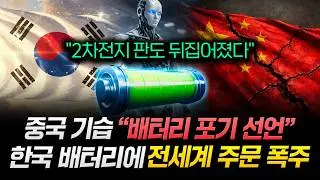 2차전지 판도 뒤집어졌다. 중국 기습 