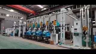 20ton corn flour milling plant, 20tpd wheat flour mill machine, maize flour mill before delivery