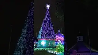 SFOT 2 CHRISTMAS IN THE PARK