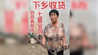 下乡收货奶奶真慈祥，老人家不容易，多给点钱，收了两把七星剑，请朋友们看一下