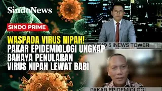 Waspada Virus Nipah! Pakar Epidemiologi Ungkap Bahaya Penularan Virus Nipah Lewat Babi | Sindo Prime