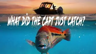 Gummy Shark Mayhem | Broken Rods, Lost Fish & Absolute Chaos Offshore