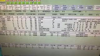 The &lsquo;Hidden&rsquo; Features you will find in all RPM horse racing software