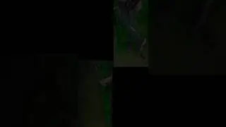 #vailal#video#