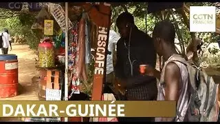 Les guinéens, rois des petits métiers à Dakar