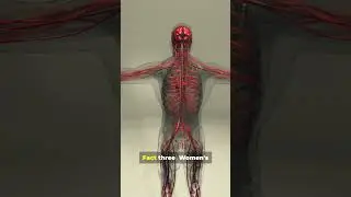 10 amazing facts about humans heart #amazingfacts #science #facts #human #amazing
