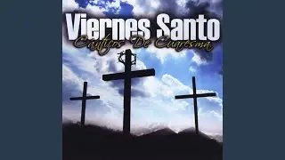 Salve Cruz Santa y Divina