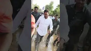 YS Jagan did a long jump in Padayatra 🦁🔥#shorts #ysrcp #ysjagan #padayarta #prajasankalpayatra #ap