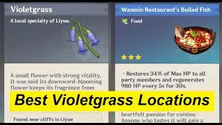 Quickest Farming Locations for Violetgrass - QiQi Ascend - Best HP Food Ingredient - Genshin Impact