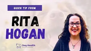 Rita Hogan Canine Herbalist | Best Herbs For Dogs Quick Tip | Pet Summits