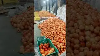 badiuzzamaMumbaipolyesterVideo #sajimuddin