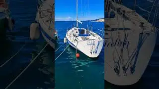 Boat in Trieste🇮🇹 , Italy #Shorts #shorts #viralyoutubevideo #italy #trieste #triest